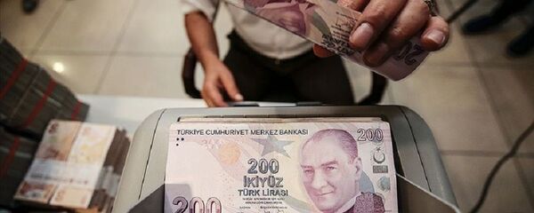 Türk Lirası, banka, ödeme - Sputnik Türkiye