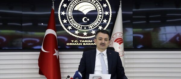 Bekir Pakdemirli - Sputnik Türkiye