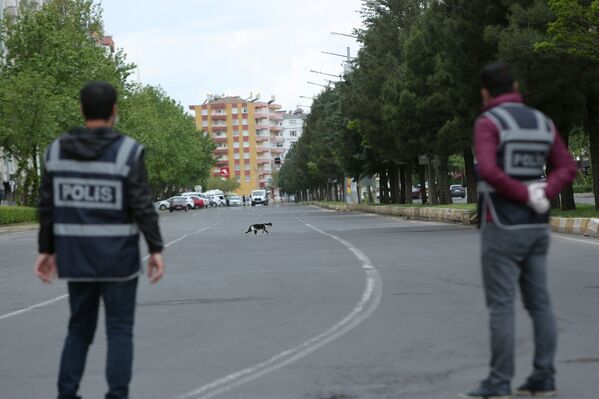 Ara sokaklarda yasak manzaraları - Sputnik Türkiye