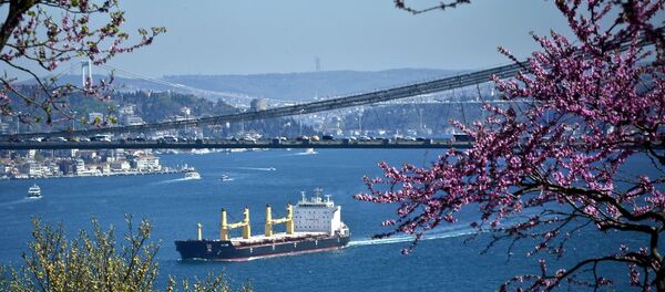 İstanbul'da erguvan mevsimi - Sputnik Türkiye