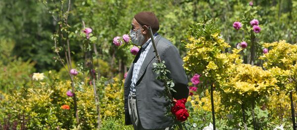 Kimi yaşlı vatandaşlar da bahçelerde zaman geçirdi. - Sputnik Türkiye