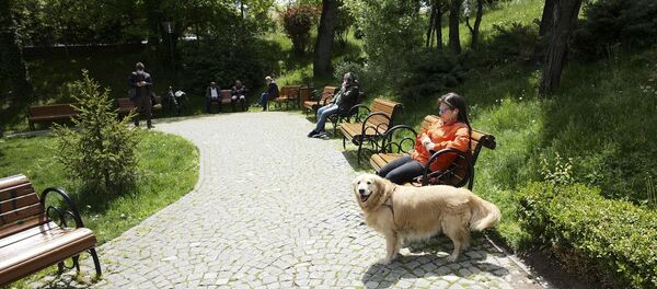 Türkiye, park, sosyal mesafe - Sputnik Türkiye