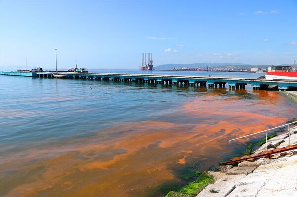 Planktonların çoğalmasıyla Marmara Denizi turuncuya büründü - Sputnik Türkiye