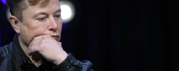 Elon Musk - Sputnik Türkiye