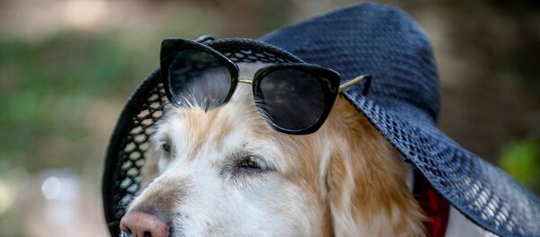 Antalya- Hava sıcaklığı - Sputnik Türkiye