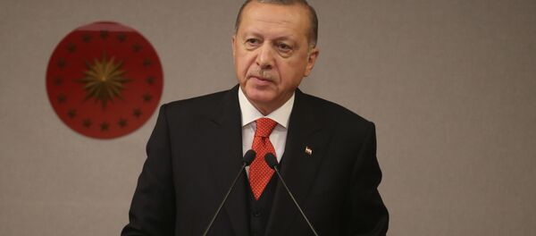 Recep Tayyip Erdoğan Recep Tayyip Erdoğan - Sputnik Türkiye
