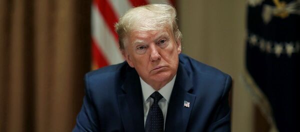 Donald Trump - Sputnik Türkiye