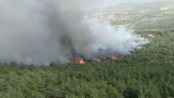 Muğla'da çıkan orman yangını kontrol altına alındı - Sputnik Türkiye