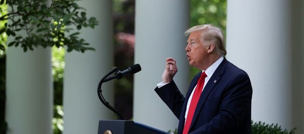 Donald Trump - Sputnik Türkiye