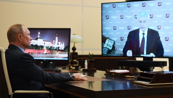 Putin - Sobyanin videokonferans - Sputnik Türkiye