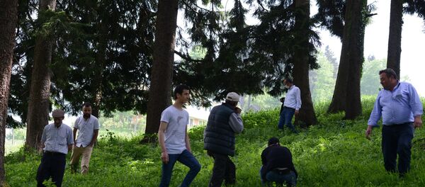 Trabzonlular 'gök taşı' aradı Trabzonlular 'gök taşı' aradı - Sputnik Türkiye