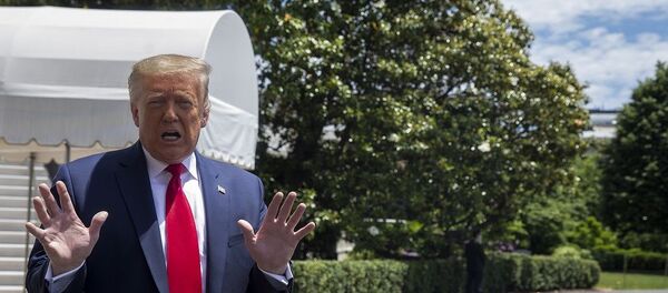 Donald Trump - Sputnik Türkiye