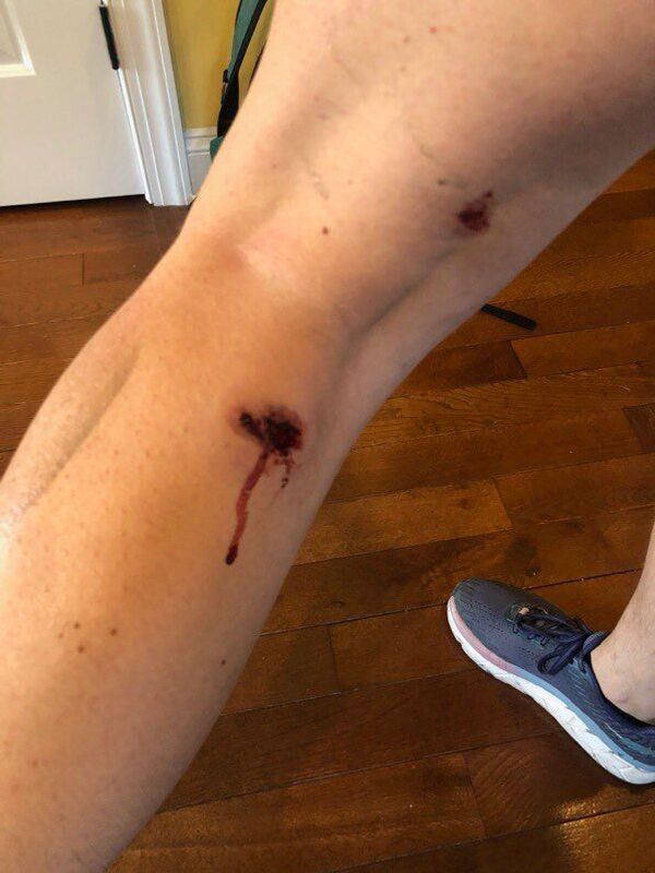 ABD'de polis Sputnik için çalışan gazeteciye plastik mermi sıktı - Sputnik Türkiye