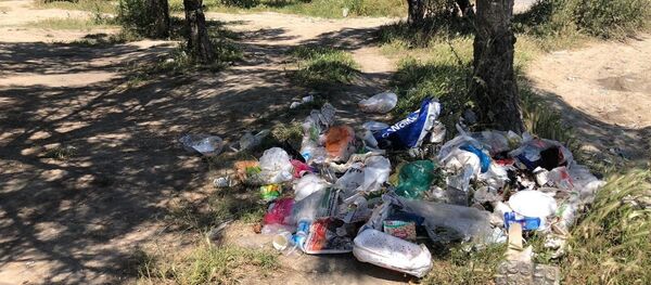 Çöp yığını - Sputnik Türkiye