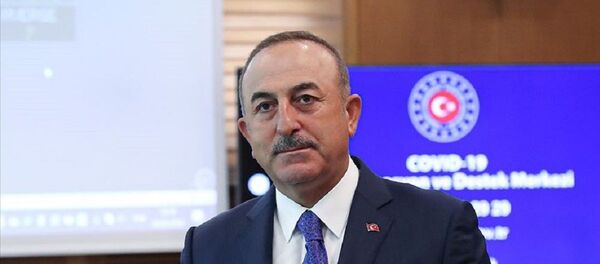 Mevlüt Çavuşoğlu - Sputnik Türkiye