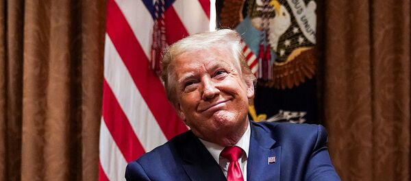 Donald Trump - Sputnik Türkiye