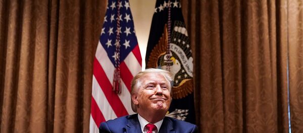 Donald Trump - Sputnik Türkiye