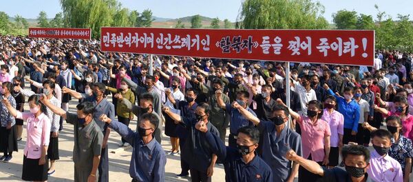 Kuzey Kore-tarım işçileri sendikası-Güney Kore karşıtı protesto - Sputnik Türkiye