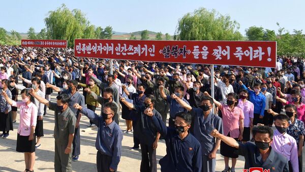 Kuzey Kore-tarım işçileri sendikası-Güney Kore karşıtı protesto - Sputnik Türkiye
