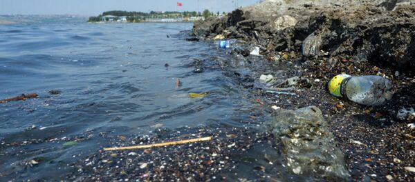 Küçükçekmece Gölü - Sputnik Türkiye