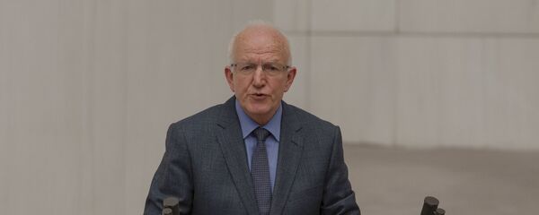  CHP İstanbul Milletvekili İbrahim Özden Kaboğlu - Sputnik Türkiye