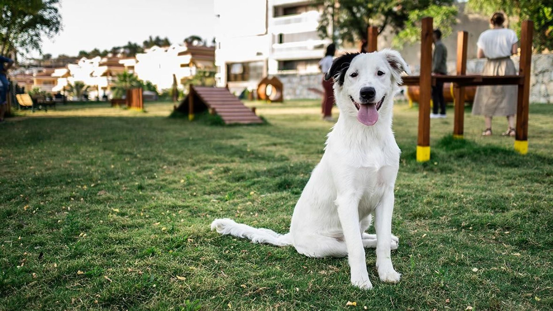 Kuşadası’nın ilk köpek parkı hizmete açıldı - Sputnik Türkiye, 1920, 11.08.2026
