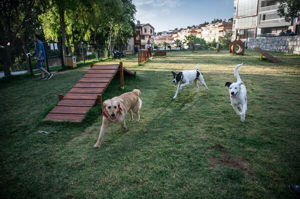 Kuşadası’nın ilk köpek parkı hizmete açıldı - Sputnik Türkiye