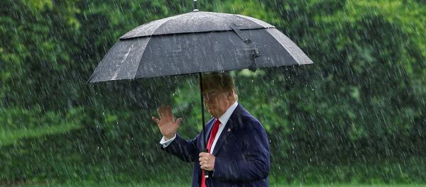 Donald Trump - Sputnik Türkiye