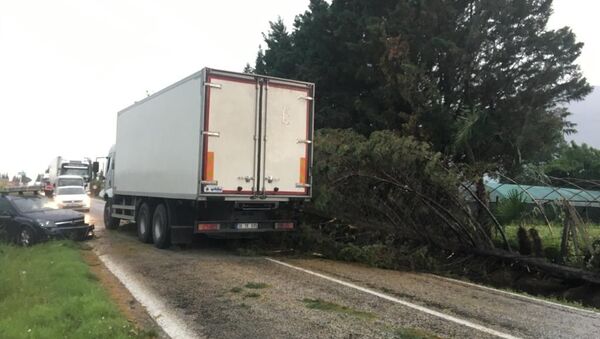 Bursa’nın Orhangazi ilçesinde fırtına yüzünden devrilen ağaçtan kaçmak isteyen kamyon, otomobile çarptı. Kazada 2 kişi yaralandı. - Sputnik Türkiye