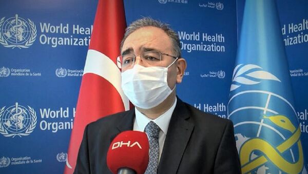 Dünya Sağlık Örgütü Türkiye Program Yöneticisi Prof. Dr. Toger Ergüder - Sputnik Türkiye