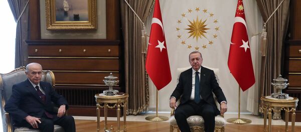 Bahçeli - Erdoğan - Sputnik Türkiye