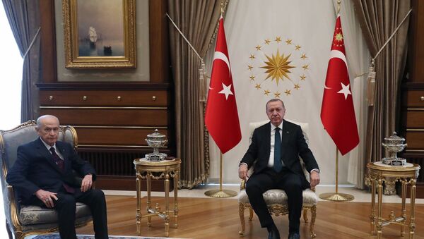 Bahçeli - Erdoğan - Sputnik Türkiye