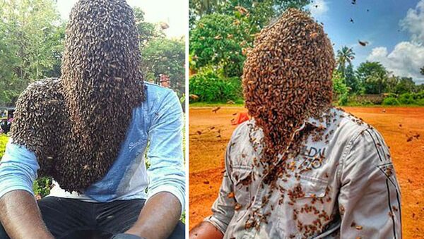 Hindistan’da arıcılık yapan Nature M.S. olarak bilinen 24 yaşındaki genç, 60 bin arının kafasında durmasına izin verdi. Nature ayrıca 4 saat 10 dakika boyunca arıları kafasında tutarak Guinness Rekorlar Kitabı’na da girdi. - Sputnik Türkiye