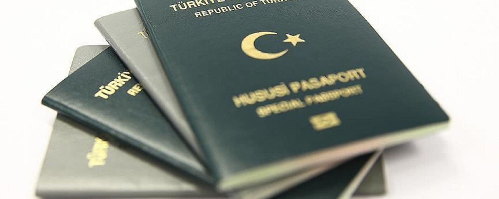 pasaport - Sputnik Türkiye, 1920, 09.10.2021