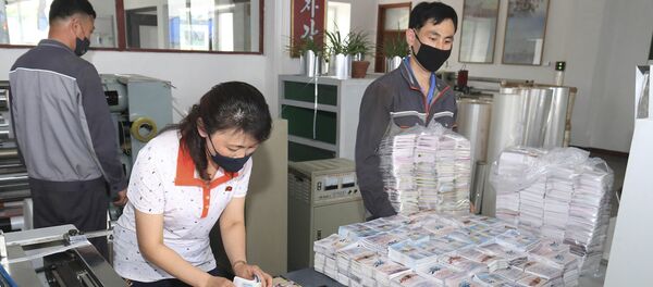 Kuzey Kore, Güney'e misilleme olarak 12 milyon propaganda broşürü gönderiyor - Sputnik Türkiye