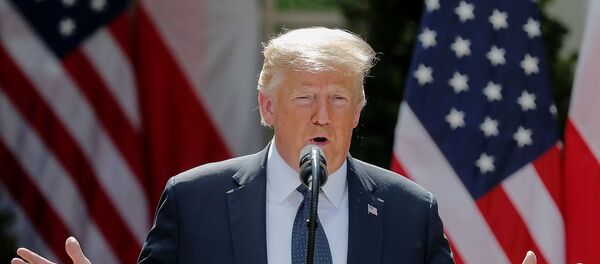 Donald Trump - Sputnik Türkiye