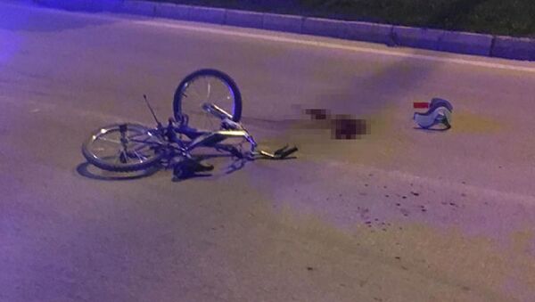 Otomobilin çarptığı 9 yaşındaki bisikletli çocuk öldü - Sputnik Türkiye