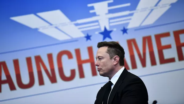 Elon Musk  - Sputnik Türkiye