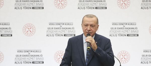 Erdoğan - Sputnik Türkiye