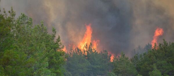 Gelibolu'daki orman yangını objektiflere böyle yansıdı. - Sputnik Türkiye