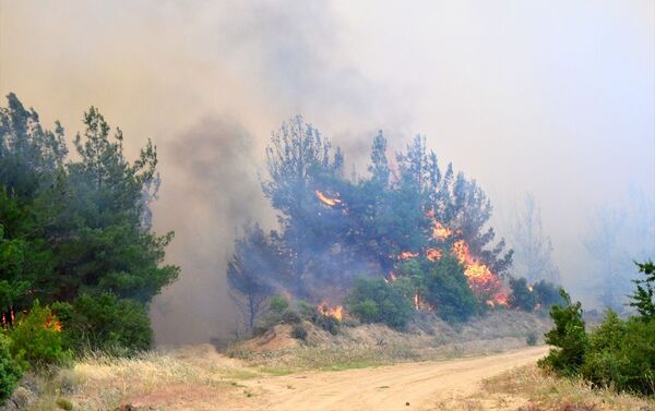 Gelibolu'daki orman yangını objektiflere böyle yansıdı. - Sputnik Türkiye