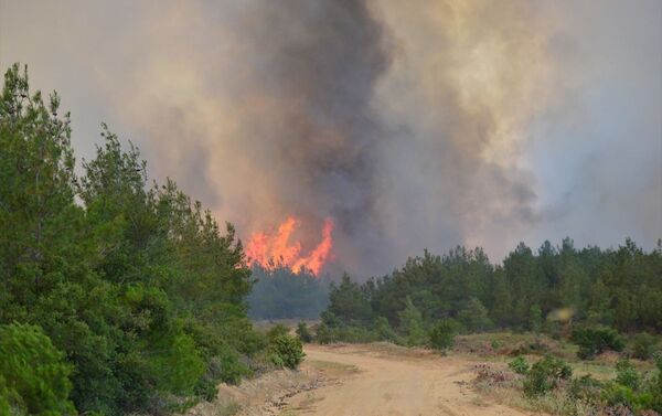 Gelibolu'daki orman yangını objektiflere böyle yansıdı. - Sputnik Türkiye