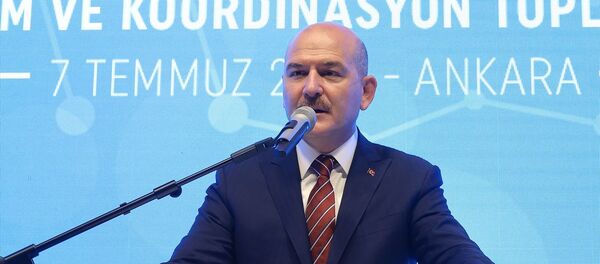 Süleyman Soylu Süleyman Soylu - Sputnik Türkiye