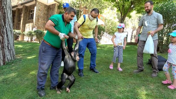 Şempanze Can’ın ziyaretçi mutluluğu - Sputnik Türkiye